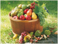 open country table mats