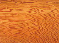 Transparent Non-Woven Table Mat